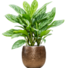 Plantenbak Marly Goud Ø41×38 cm