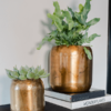 Plantenbak Arwin Goud Ø39×35 cm