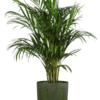 Plantenbak Jiro Groen Ø38×36 cm