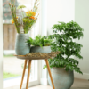 Plantenbak Ryan Blauw Ø42×38 cm