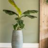 Plantenbak Ryan Blauw Ø31×68 cm