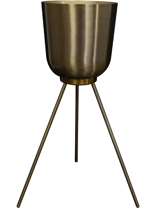 Ter Steege - Metaal Plantenbak - Mayk Goud Ø31x91 cm - Plantenpot - Bloembak - Bloempot - Voor Buiten