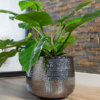 Plantenbak Jenna Zwart Ø46×38 cm