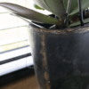 Plantenbak Belia Zwart 41x20x40 cm