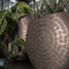 Plantenbak Nynke Zilver 54x25x37 cm
