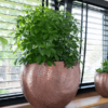 Plantenbak Nynke Roze 54x25x37 cm