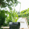 Plantenbak Thom Zwart Ø54×44 cm