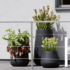 Plantenbak Pure® Zwart Ø43×66 cm