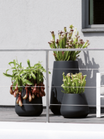 Plantenbak Pure® Zwart Ø43×36 cm Plantenbak Pure® Zwart Ø43×36 cm