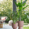 Plantenbak Pure® Bruin Ø35×49 cm