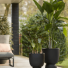 Plantenbak Pure® Zwart Ø35×49 cm