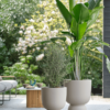 Plantenbak Pure® Beige Ø41×58 cm