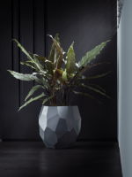 Plantenbak Pure® Antraciet Ø40×38 cm Plantenbak Pure® Antraciet Ø40×38 cm