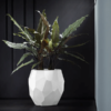 Plantenbak Pure® Wit Ø47×45 cm