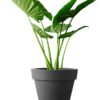 Plantenbak Pure® Antraciet Ø59×54 cm