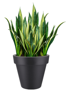 Plantenbak Pure® Antraciet Ø98×89 cm