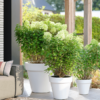 Plantenbak Pure® Wit Ø59×54 cm