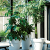 Plantenbak Pure® Wit Ø59×54 cm
