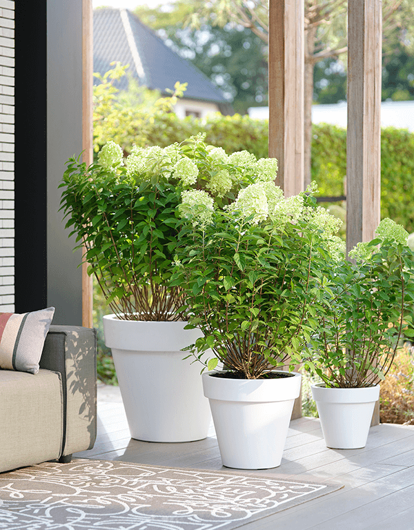 Plantenbak Pure® Wit Ø98×89 cm