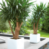 Plantenbak Pure® Wit 49x49x49 cm