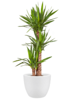 Plantenbak Pure® Wit Ø49×38 cm Plantenbak Pure® Wit Ø49×38 cm