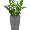 Plantenbak Pure® Antraciet Ø49×90 cm
