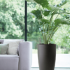 Plantenbak Pure® Antraciet Ø49×90 cm