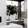 Plantenbak Pure® Wit Ø50×51 cm