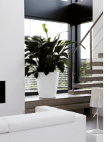 Plantenbak Pure® Wit Ø50×51 cm Plantenbak Pure® Wit Ø50×51 cm