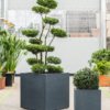Plantenbak Stretto Antraciet 100x100x60 cm
