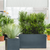 Plantenbak Stretto Antraciet 200x50x60 cm