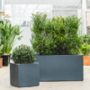 Plantenbak Stretto Antraciet 100x50x50 cm