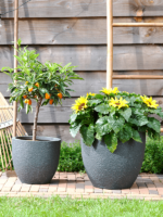 Plantenbak Jack Zwart Ø58×48 cm Plantenbak Jack Zwart Ø58×48 cm