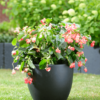 Plantenbak Ace Zwart Ø58×48 cm