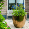 Plantenbak Pure Goud Ø48×43 cm