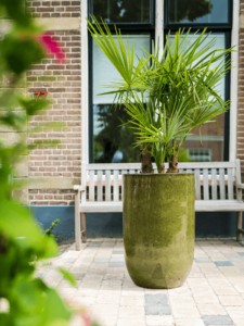 Plantenbak Pure Groen Ø41×63 cm