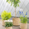 Plantenbak Gabi Beige Ø55×50 cm