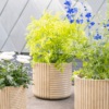Plantenbak Gabi Beige Ø37×33 cm