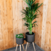 Plantenbak Gabi Zwart Ø36×70 cm