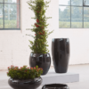 Plantenbak Moda Zwart Ø43×43 cm