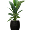 Plantenbak Sensation  – Capi Nature Rib Ø38×162 cm