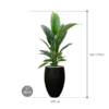 Plantenbak Sensation  – Capi Nature Rib Ø38×162 cm