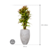 Plantenbak Croton  – Capi Nature Rib Ø38×150 cm