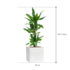 Plantenbak Burundii  – Capi Lux Terrazzo 40x40x101 cm