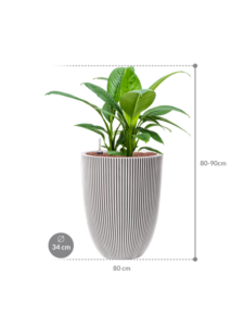 Plantenbak Sensation  – Capi Nature Groove Ø34×81 cm