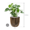Plantenbak Monstera  deliciosa – Capi Nature Groove Ø43×94 cm
