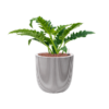 Plantenbak Philodendron  – Capi Nature Row Ø35×64 cm