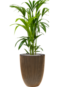 Plantenbak Kenia –  Capi Nature Groove Ø34×124 cm