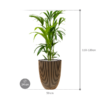 Plantenbak Kenia –  Capi Nature Groove Ø34×124 cm