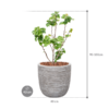 Plantenbak Avondale  – Capi Nature Rib Ø43×95 cm